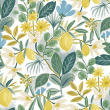 Load image into Gallery viewer, York Wallcoverings Blue/Green Amalfi Peel and Stick Wallpaper PSW1318RL wallpaper