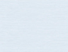 Load image into Gallery viewer, Wallquest/Seabrook Designs Blue Mist Vinyl Grasscloth AW74500 wallpaper