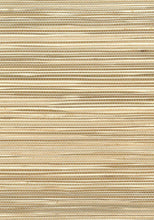 Load image into Gallery viewer, Wallquest/Seabrook Designs Brown Boodle Matte NA212 wallpaper