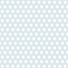 Load image into Gallery viewer, Wallquest/Lillian August Carolina Blue and Eggshell Cabana Wicker LN10200 wallpaper