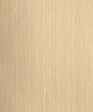 Load image into Gallery viewer, Etten Gallerie Champagne & Glitter Natural Stria 2231700 wallpaper
