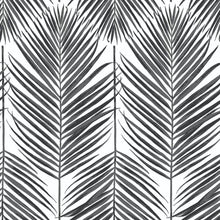 Load image into Gallery viewer, NextWall Ebony Paradise Palm NW33000 wallpaper