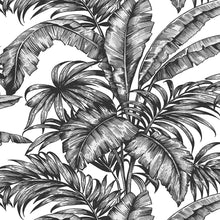 Load image into Gallery viewer, NextWall Ebony & Pearl Palm Jungle NW40400 wallpaper
