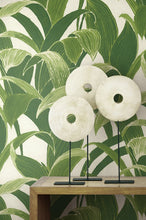 Load image into Gallery viewer, NextWall Green & White Banana Groves NW31300 wallpaper