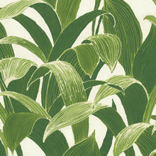 Load image into Gallery viewer, NextWall Green & White Banana Groves NW31300 wallpaper