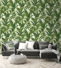 Load image into Gallery viewer, NextWall Green & White Banana Groves NW31300 wallpaper