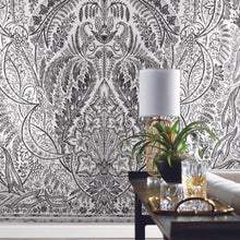 Load image into Gallery viewer, York Wallcoverings Jaipur Paisley Damas Wallpaper Mural DM4911M wallpaper