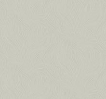 Load image into Gallery viewer, York Wallcoverings Light Gray Tempest Wallpaper OS4301 wallpaper