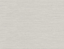 Load image into Gallery viewer, Wallquest/Seabrook Designs Light Gray Vinyl Grasscloth AW74500 wallpaper