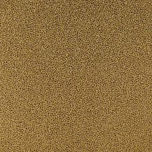Load image into Gallery viewer, Etten Gallerie Antique Gold Mica Texture 2231600 wallpaper