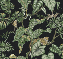 Load image into Gallery viewer, York Wallcoverings Black Jungle Cat Wallpaper HO2141 wallpaper