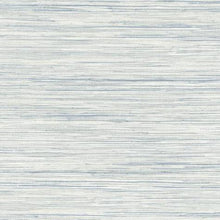 Load image into Gallery viewer, York Wallcoverings Blue Bahiagrass Wallpaper CV4413 wallpaper