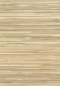 Wallquest/Seabrook Designs Brown Boodle Matte NA212 wallpaper