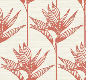 York Wallcoverings Coral Bird Of Paradise Wallpaper TC2671 wallpaper