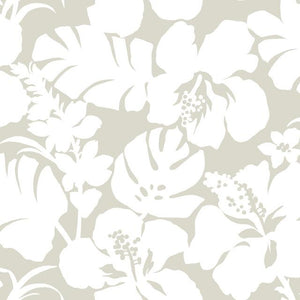 York Wallcoverings Cream Hibiscus Arboretum Wallpaper CV4437 wallpaper