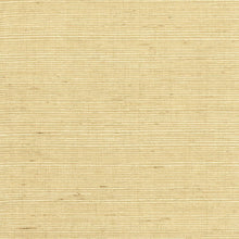 Load image into Gallery viewer, Wallquest/Lillian August Desert Limestone Sisal Grasscloth LN11800 wallpaper