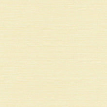 Load image into Gallery viewer, Wallquest/Seabrook Designs French Vanilla Vinyl Grasscloth AW74500 wallpaper