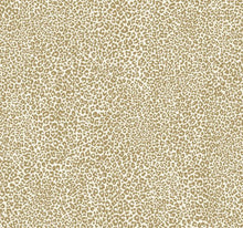 Load image into Gallery viewer, York Wallcoverings Gold Leopard King Wallpaper TC2681 wallpaper
