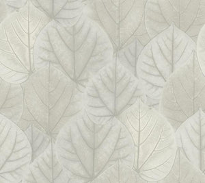 York Wallcoverings Gray Leaf Concerto Wallpaper OS4241 wallpaper