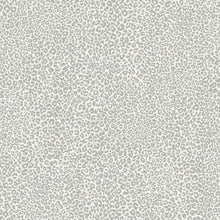 Load image into Gallery viewer, York Wallcoverings Gray Leopard King Wallpaper TC2681 wallpaper