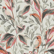 Load image into Gallery viewer, York Wallcoverings Gray Tropical Love Birds Wallpaper TC2651 wallpaper