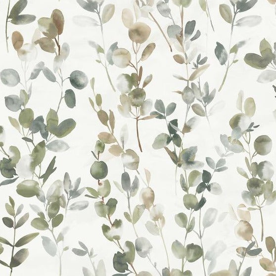 York Wallcoverings Green Joyful Eucalyptus Wallpaper OS4311 wallpaper