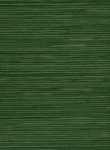 Load image into Gallery viewer, Wallquest/Seabrook Designs Green Jute NA202 wallpaper