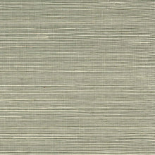 Load image into Gallery viewer, Wallquest/Lillian August Green Mist Sisal Grasscloth LN11800 wallpaper