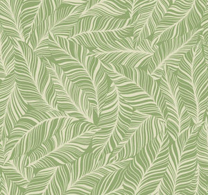 York Wallcoverings Green Rainforest Canopy Wallpaper TC2711 wallpaper