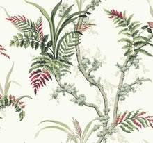 Load image into Gallery viewer, York Wallcoverings Green/Red Enchanted Fern Wallpaper GR5991 wallpaper