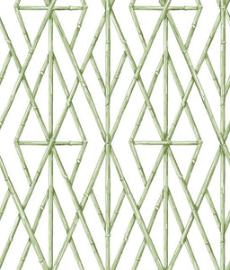 York Wallcoverings Green Riviera Bamboo Trellis Wallpaper CV4448 wallpaper
