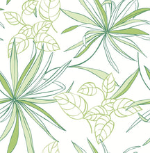 Load image into Gallery viewer, NextWall Green Spider Plants NW36300 wallpaper