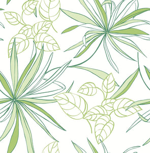 NextWall Green Spider Plants NW36300 wallpaper