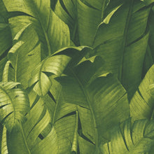 Load image into Gallery viewer, NextWall Green Tropical Banana Leaves NW31000 wallpaper
