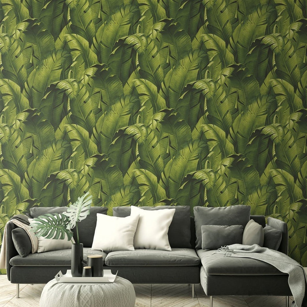 NextWall Green Tropical Banana Leaves NW31000 wallpaper