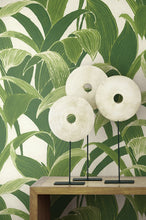 Load image into Gallery viewer, NextWall Green &amp; White Banana Groves NW31300 wallpaper