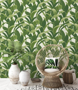 NextWall Green & White Banana Groves NW31300 wallpaper