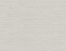Load image into Gallery viewer, Wallquest/Seabrook Designs Light Gray Vinyl Grasscloth AW74500 wallpaper
