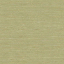 Load image into Gallery viewer, Wallquest/Seabrook Designs Lime Moss Coastal Hemp BV30400 wallpaper