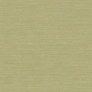 Wallquest/Seabrook Designs Lime Moss Coastal Hemp BV30400 wallpaper