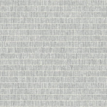 Load image into Gallery viewer, Seabrook Designs Lunar Gray Blue Grass Band TC70000 wallpaper
