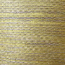 Load image into Gallery viewer, Wallquest/Lillian August Metallic Gold and Aloe Sisal Grasscloth LN11800 wallpaper