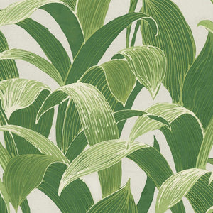 Seabrook Designs Metallic Pearl and Forest Green Imperial Banana Groves AI40302 wallpaper