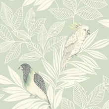 Load image into Gallery viewer, Wallquest/Seabrook Designs Mint and Ivory Paradise Island Birds RY30100 wallpaper