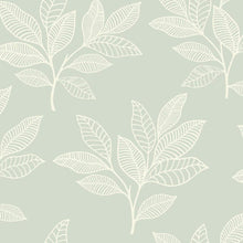 Load image into Gallery viewer, Wallquest/Seabrook Designs Mint Paradise Leaves RY30800 wallpaper