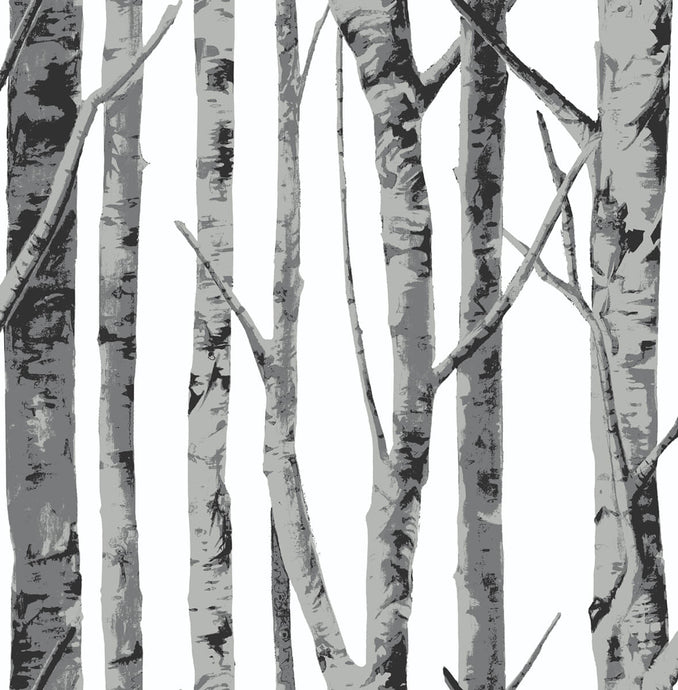 NextWall Monochrome Birch Trees NW34800 wallpaper