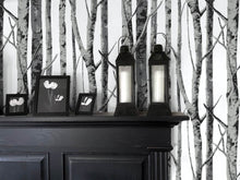 Load image into Gallery viewer, NextWall Monochrome Birch Trees NW34800 wallpaper