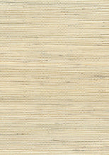 Load image into Gallery viewer, Wallquest/Seabrook Designs Neutrals Jute NA202 wallpaper