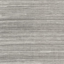 Load image into Gallery viewer, Wallquest/Lillian August Salt and Pepper Sisal Grasscloth LN11800 wallpaper