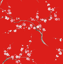 Load image into Gallery viewer, NextWall Scarlet &amp; Petal Pink Cherry Blossom Floral NW38301 wallpaper